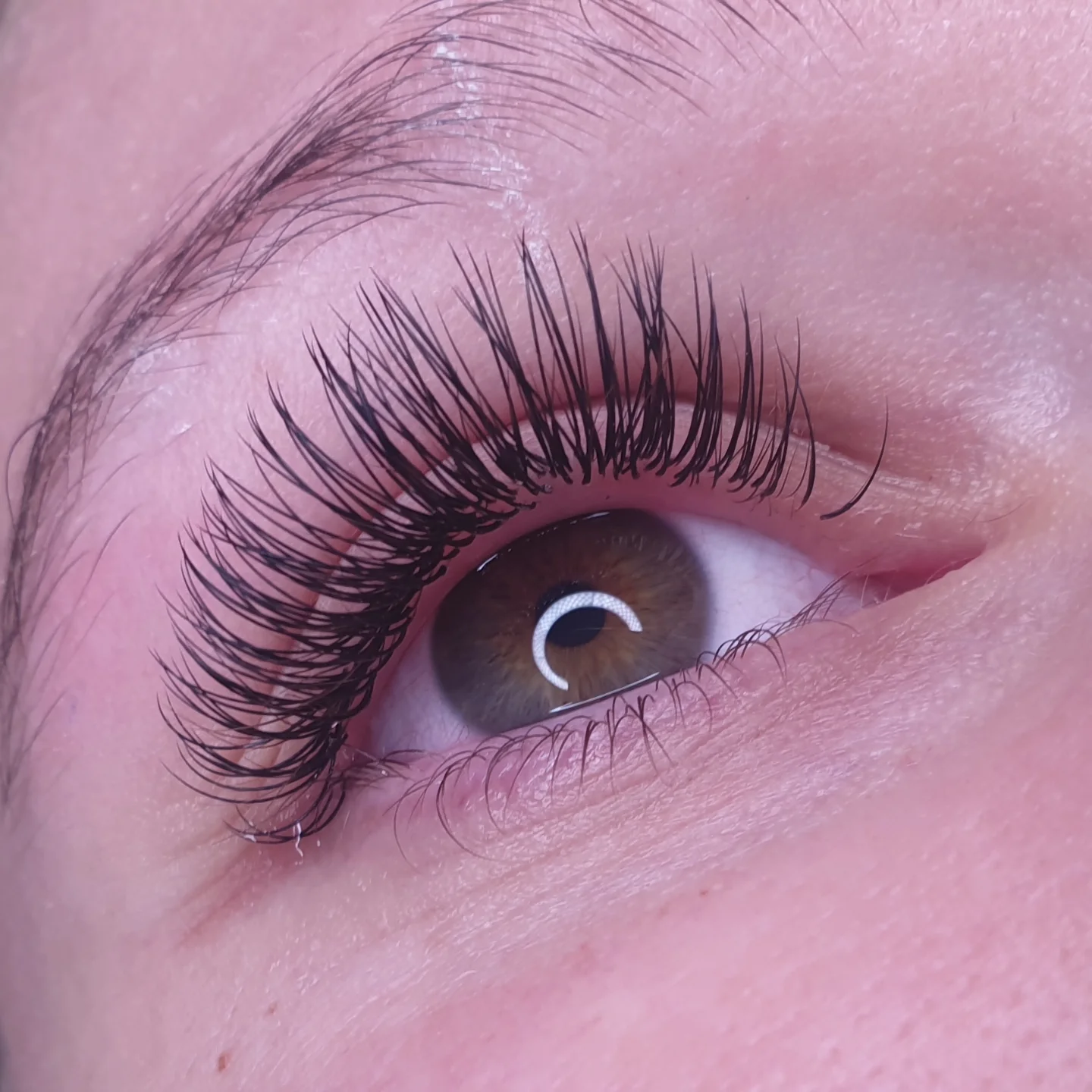 Close-up of a full volume lash set on a brown eye